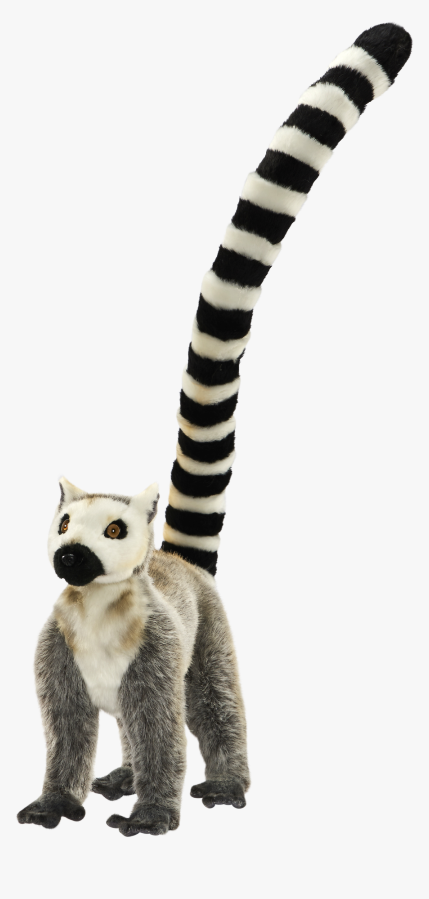 Lemur Tail Png - Circle Dial Icon Png, Transparent Png