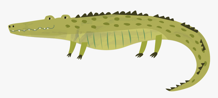 Smooth Newt, HD Png Download