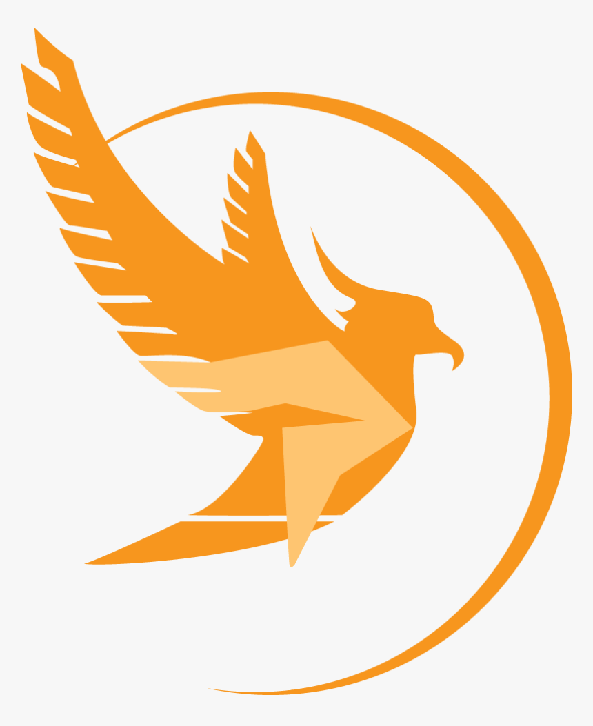 Phoenix Productions Mc Dj Lighting In Boston Ma - Phoenix Production, HD Png Download