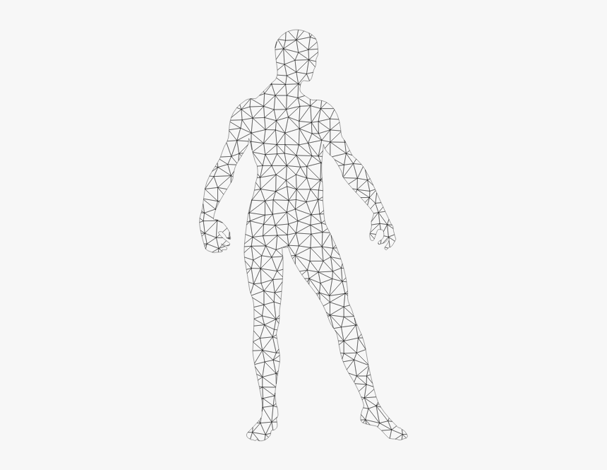 Man Wireframe Silhouette - Standing, HD Png Download