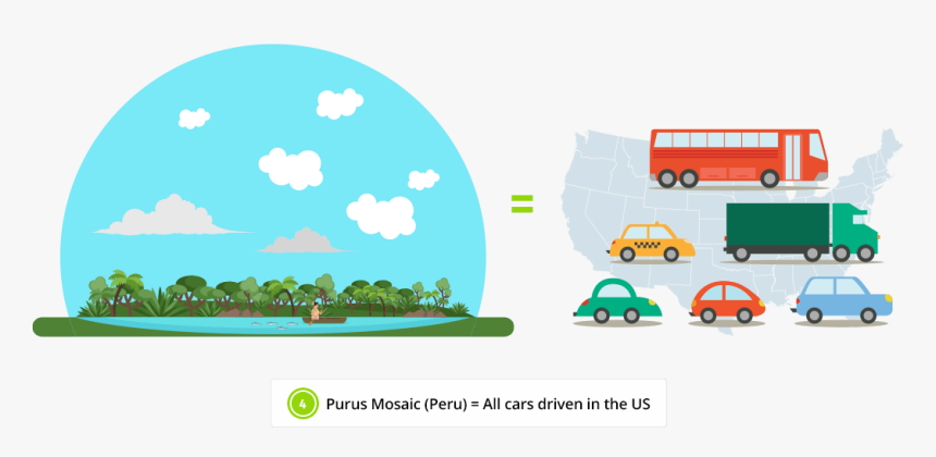 Rainforest Clipart Forest Destruction, HD Png Download