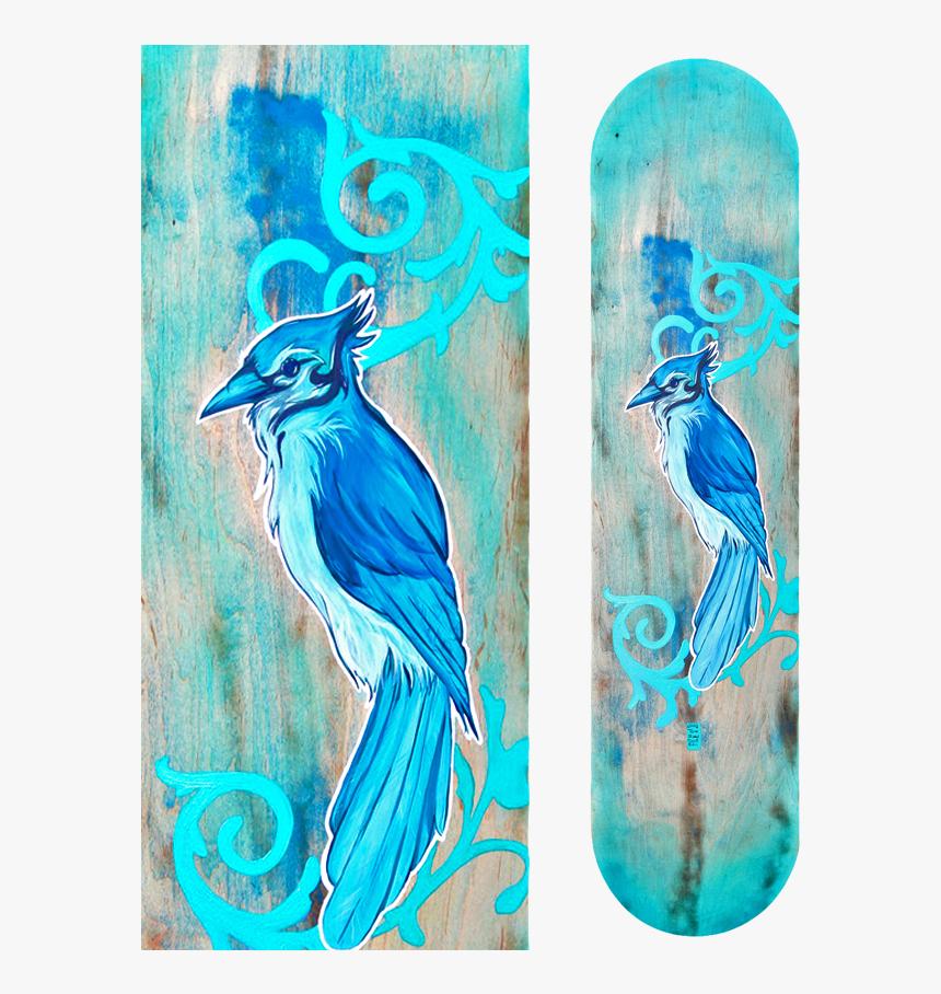 Blue Jay Board - Jay, HD Png Download