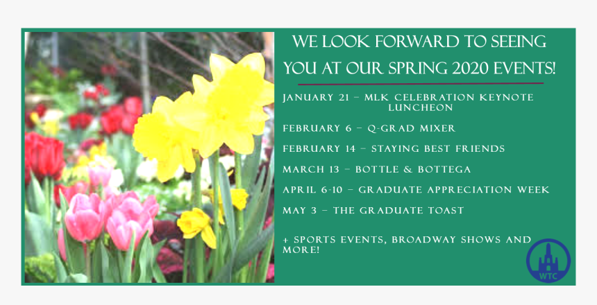 Spring Flowers, HD Png Download