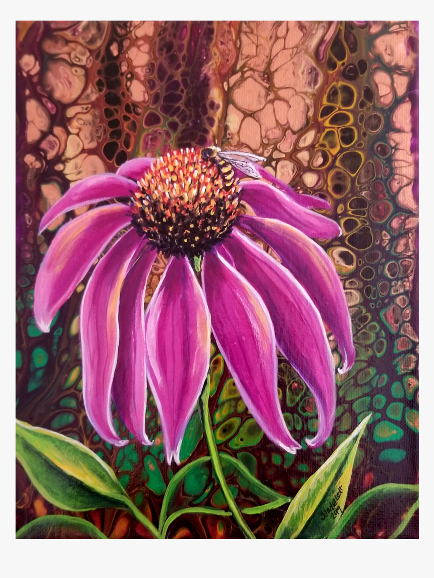 African Daisy, HD Png Download