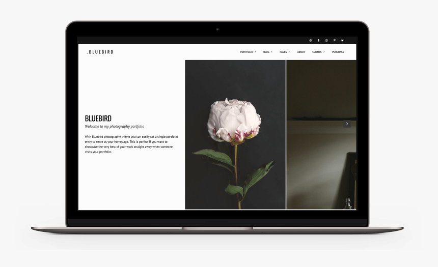 Led-backlit Lcd Display, HD Png Download