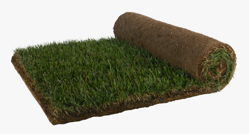 Lawn, HD Png Download