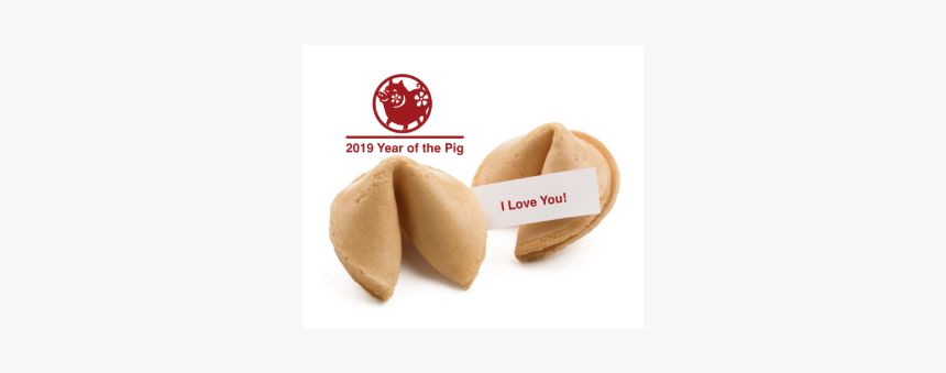 Fortune Cookie, HD Png Download