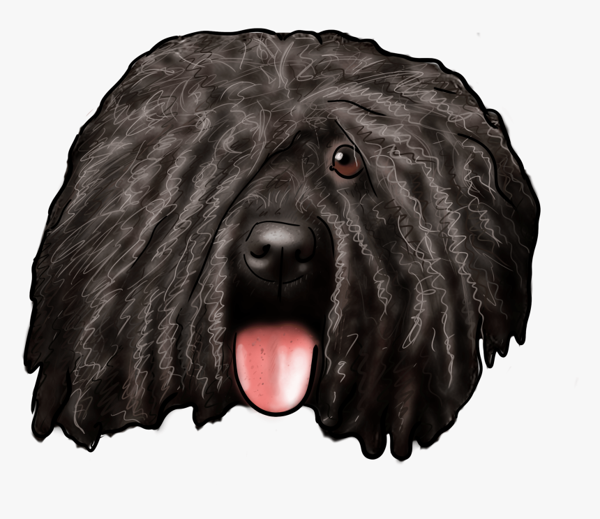 german pinscher dogs 101