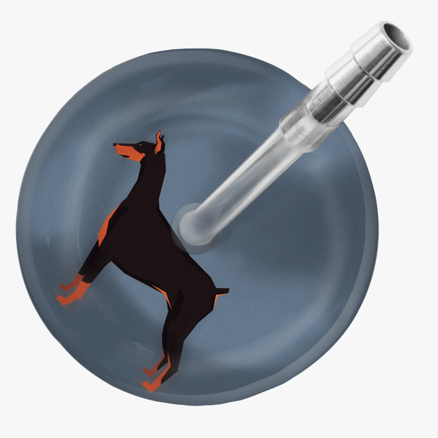 Doberman Pinscher Stethoscope 
 Class - Stethoscope Ultrascope Avec Initiales, HD Png Download