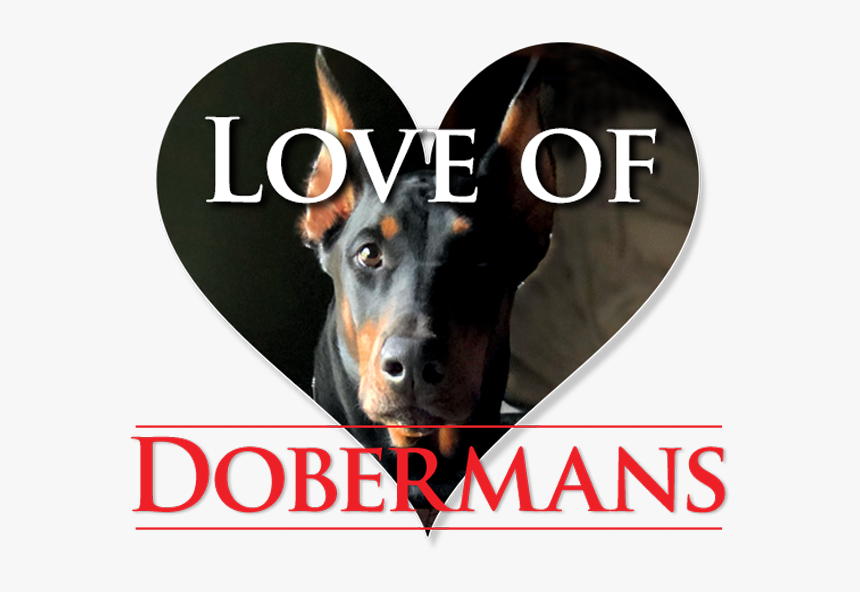 Companion Dog, HD Png Download