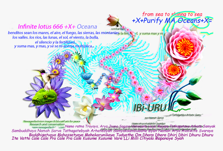 Ay, Biscochitos, Biscochos, Biscochon, Muah Muah Beso, - African Daisy, HD Png Download
