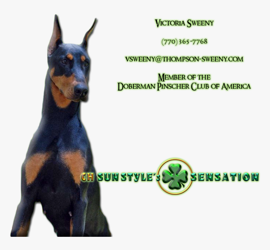 Dobermann, HD Png Download
