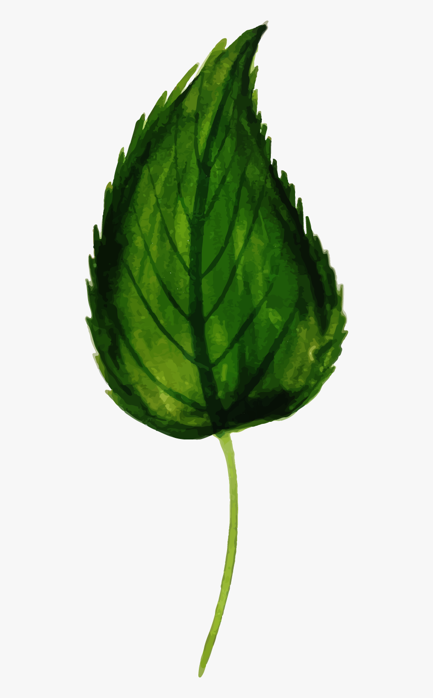 Illustration, HD Png Download