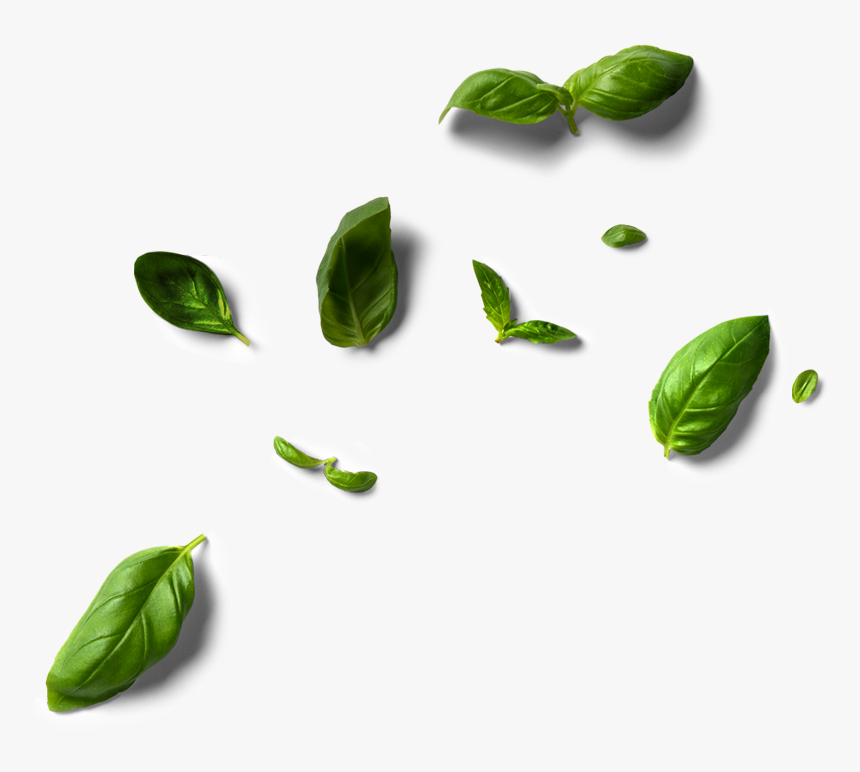 Brussels Sprout, HD Png Download