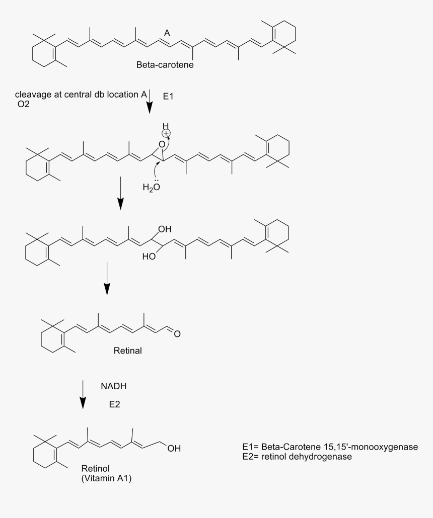 Chem 157 Vitamin A Synthesis Project - Vitamin A Synthesis From Beta Carotene, HD Png Download