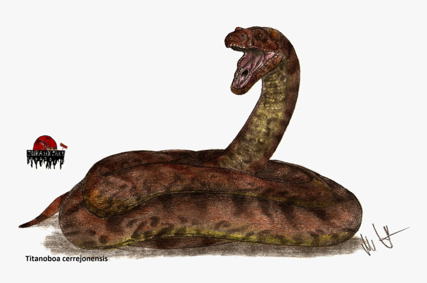 Titanoboa Snake Png Image Background - Titanoboa Jurassic Park, Transparent Png