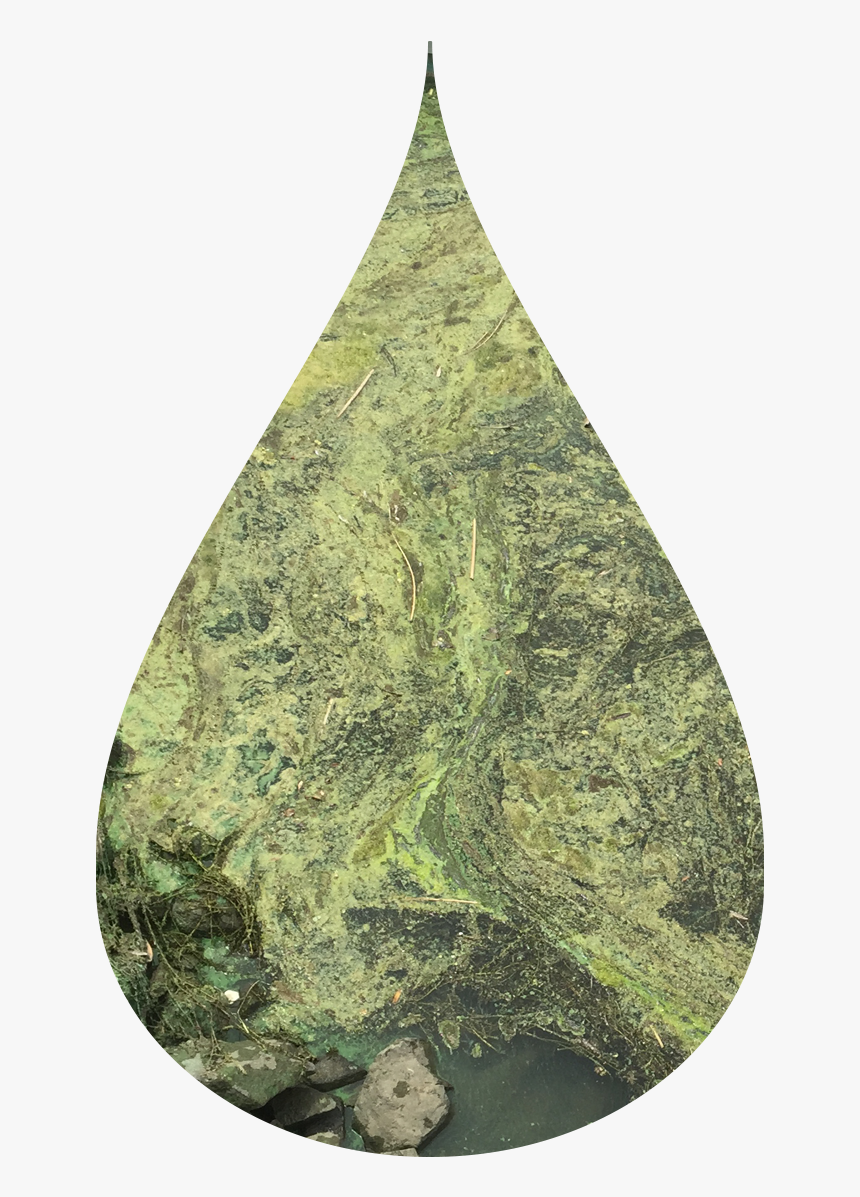 22 Oct - Patchwork, HD Png Download