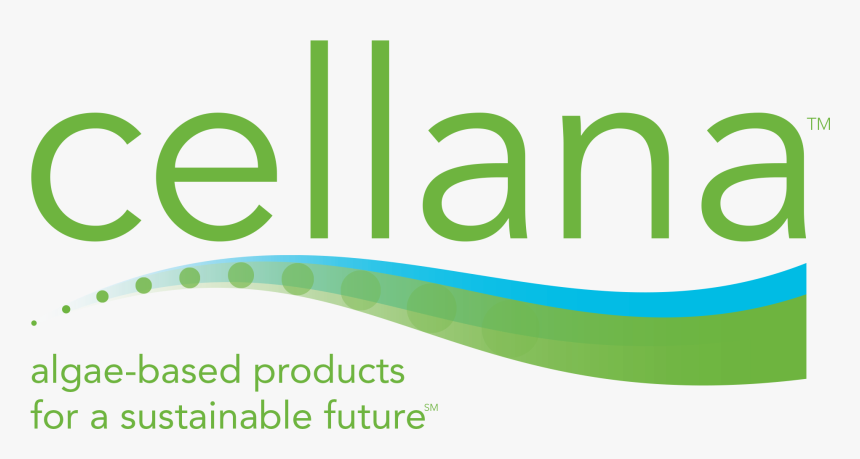 Cellana, HD Png Download