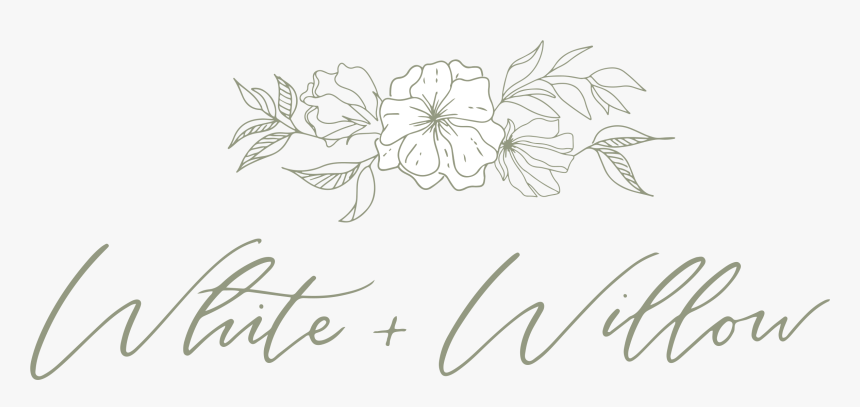 Chrysanths, HD Png Download