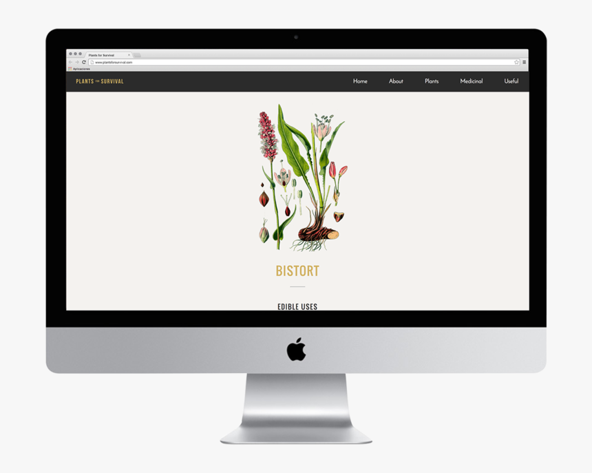 Momentfeed S Paid Media Campaign Builder - Imac 27, HD Png Download