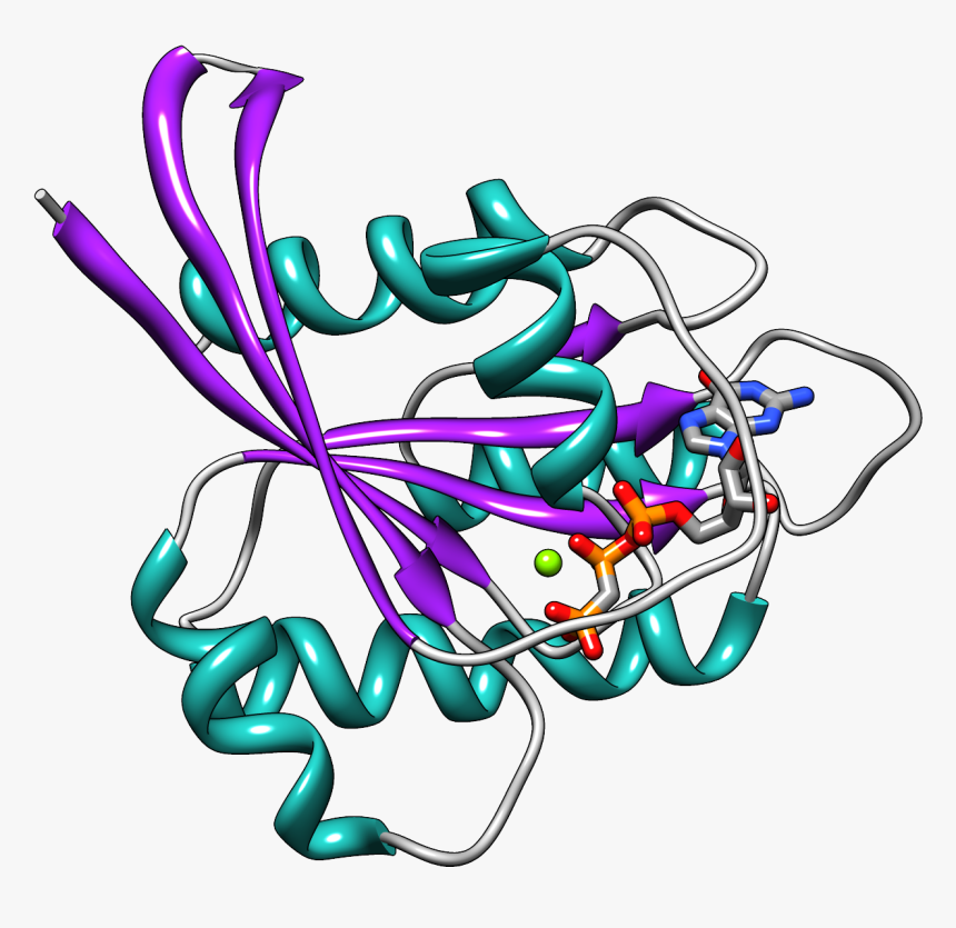 Hras Secondary Structure Ribbon - Ras Gtpase, HD Png Download