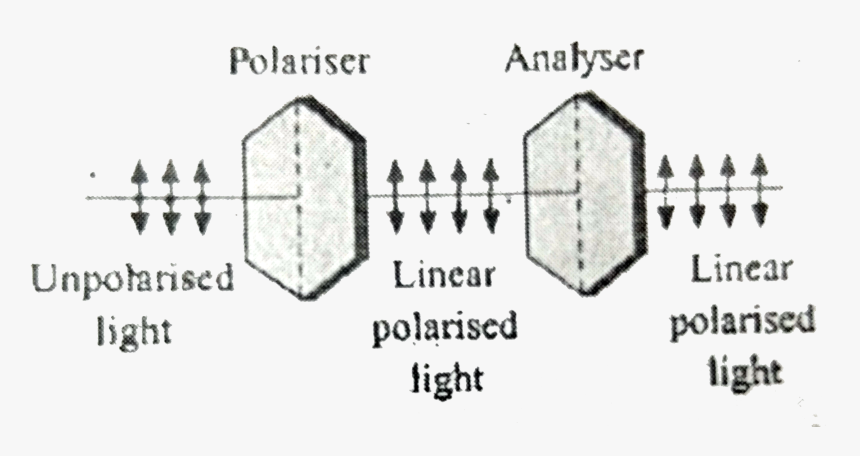 Diagram, HD Png Download