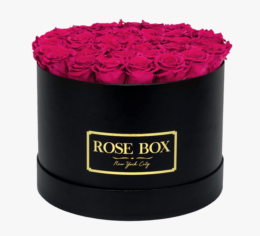 Garden Roses, HD Png Download