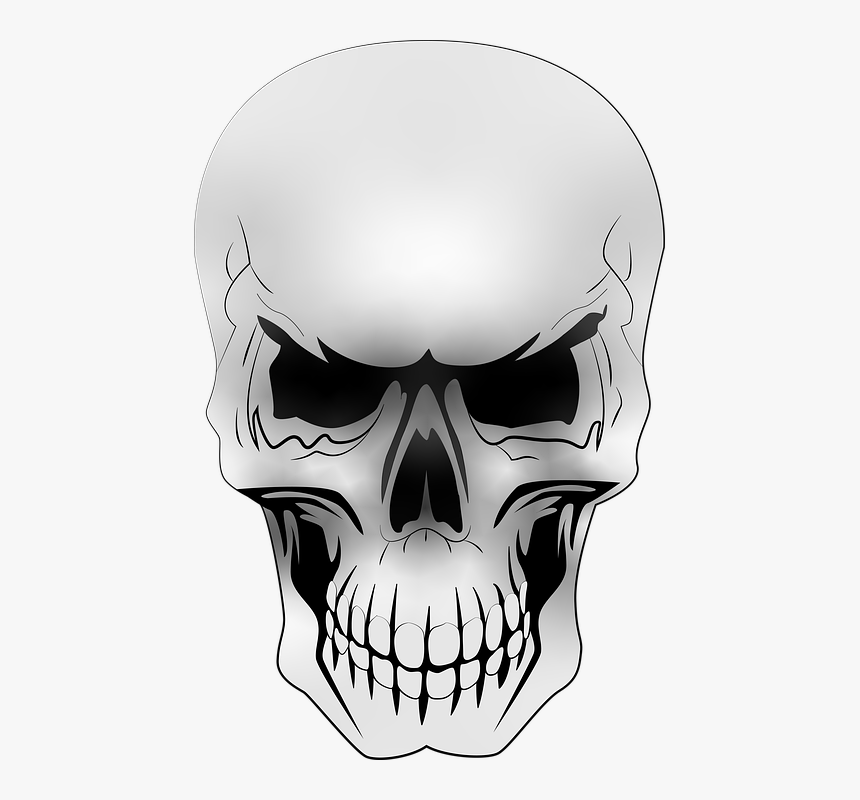 Skull, HD Png Download
