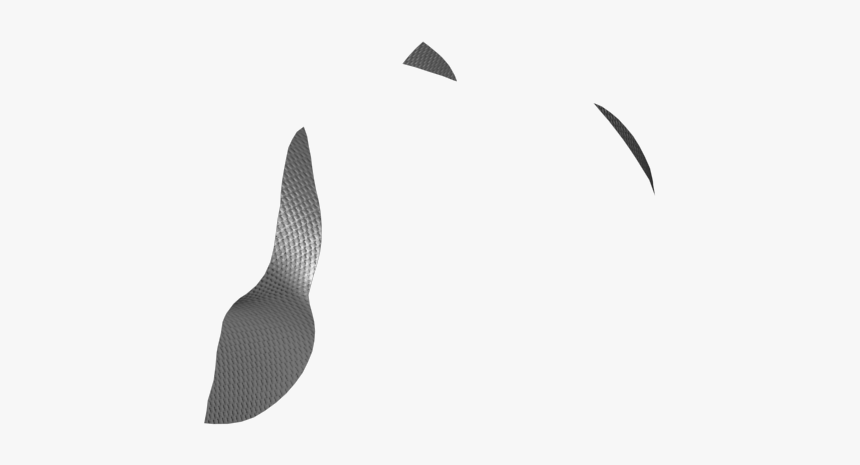 Shorebird, HD Png Download