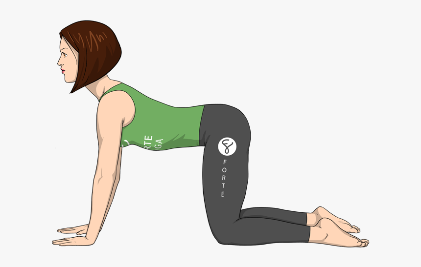 Cow Pose Forte Yoga, HD Png Download
