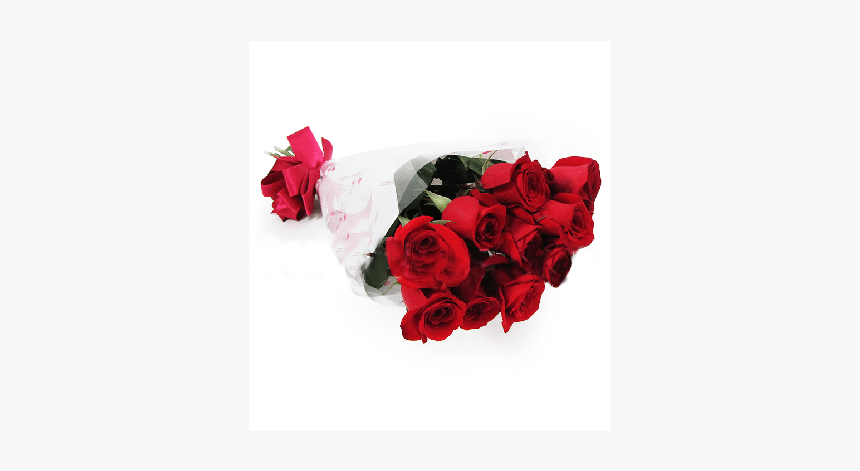 Rosas Rojas Png - Garden Roses, Transparent Png
