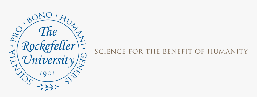 Rockefeller University, HD Png Download