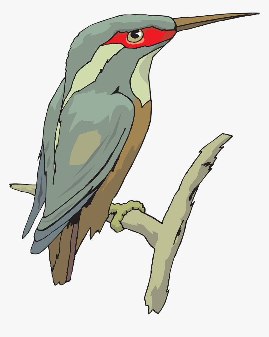 Bird Wings Beak Feathers Transparent Image - King Fisher Clipart, HD Png Download