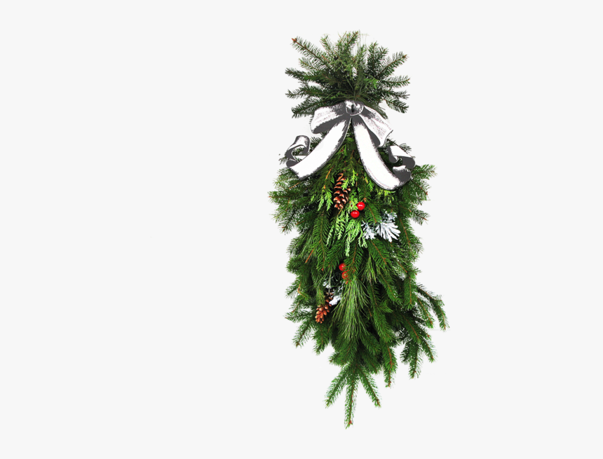 Follaje Navideño Png, Transparent Png