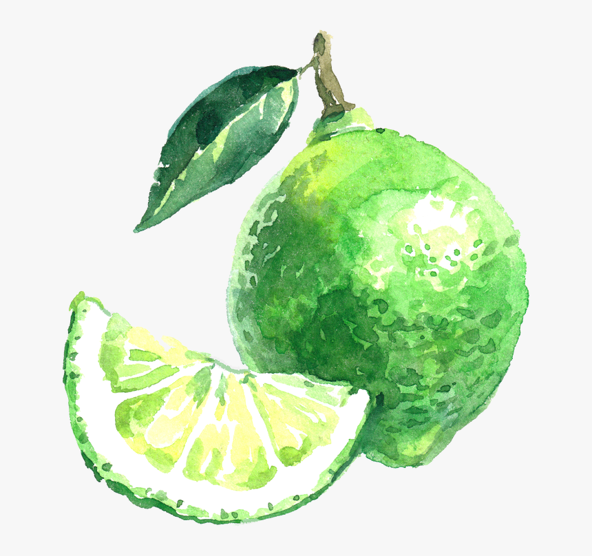 Picture - Lime, HD Png Download
