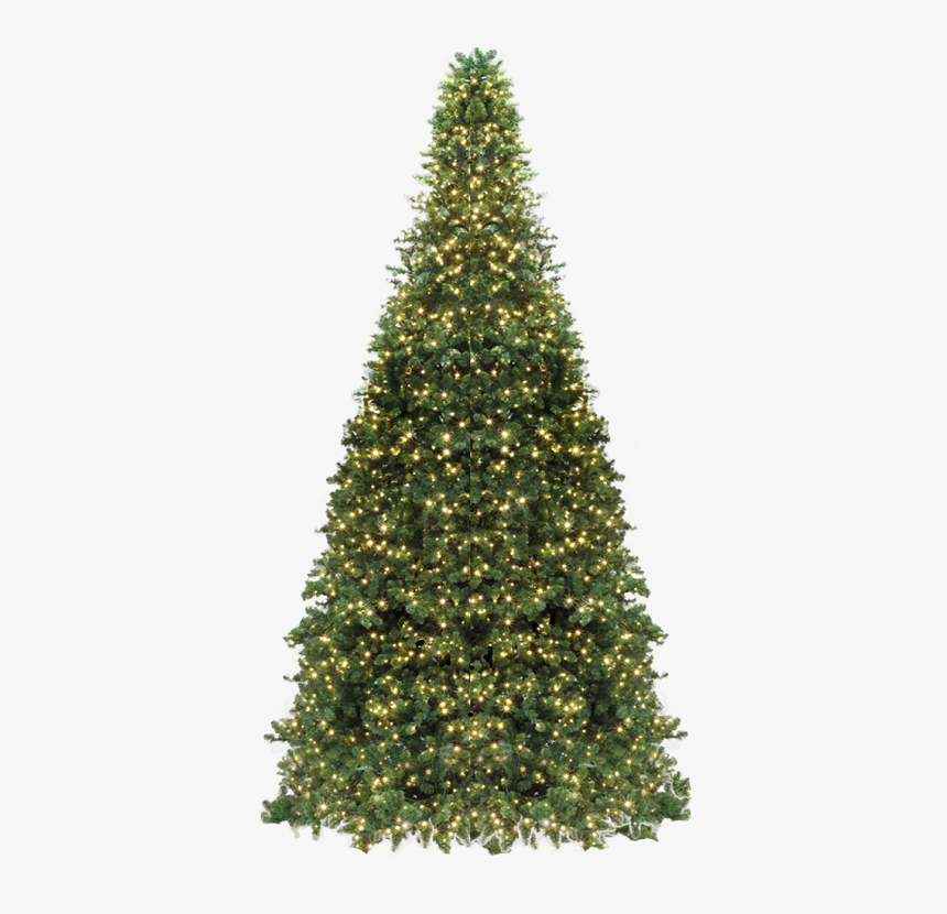 Commercial Frame Tower Tree 
 Class - Giant Christmas Tree Png, Transparent Png