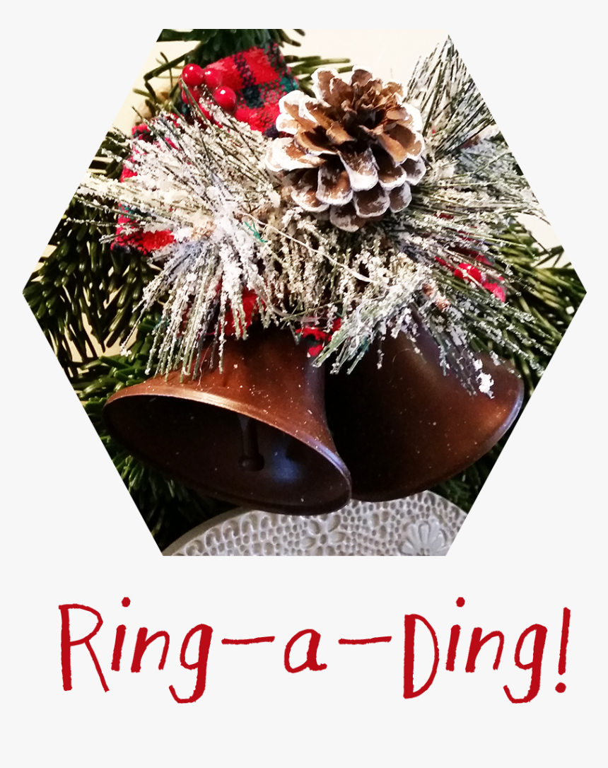 Winter Greenery - Ganache, HD Png Download