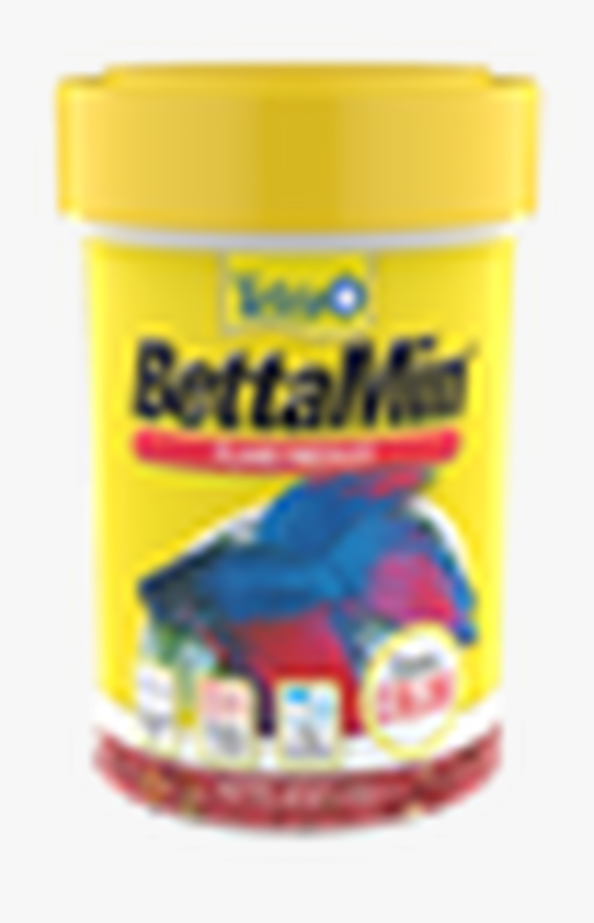 Tetra Betta, HD Png Download