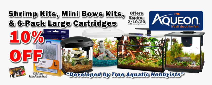 Aquarium, HD Png Download