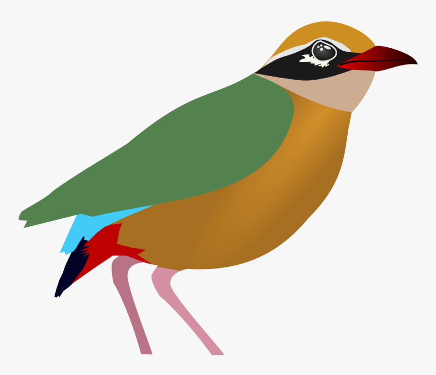 Penguin, HD Png Download