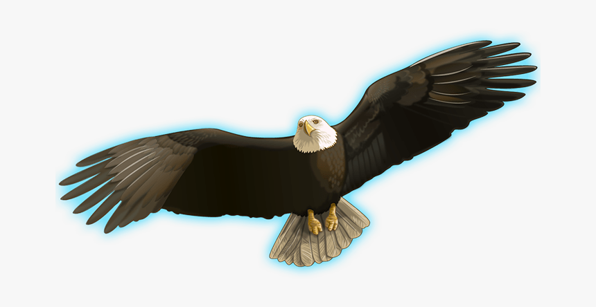 Indian Spirit™ - Bald Eagle, HD Png Download
