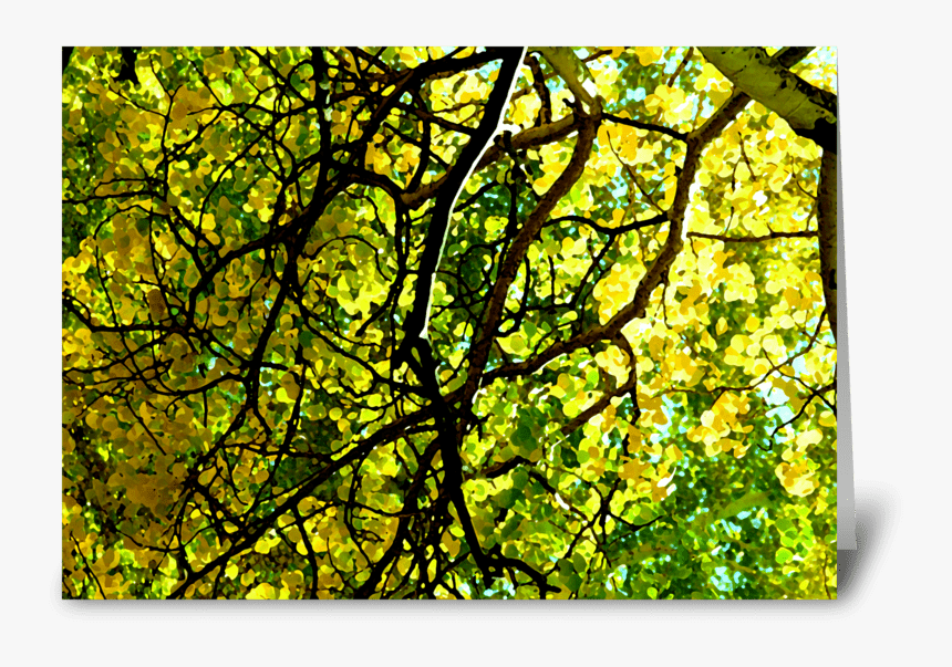 Aspen Gold Greeting Card - Stained Glass, HD Png Download