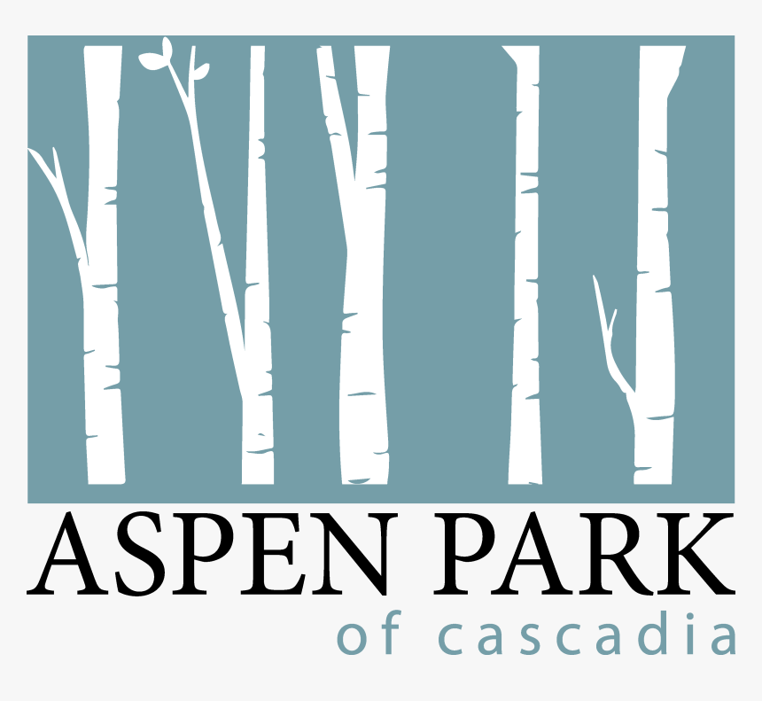 Aspen Park Of Cascadia - Canoe Birch, HD Png Download