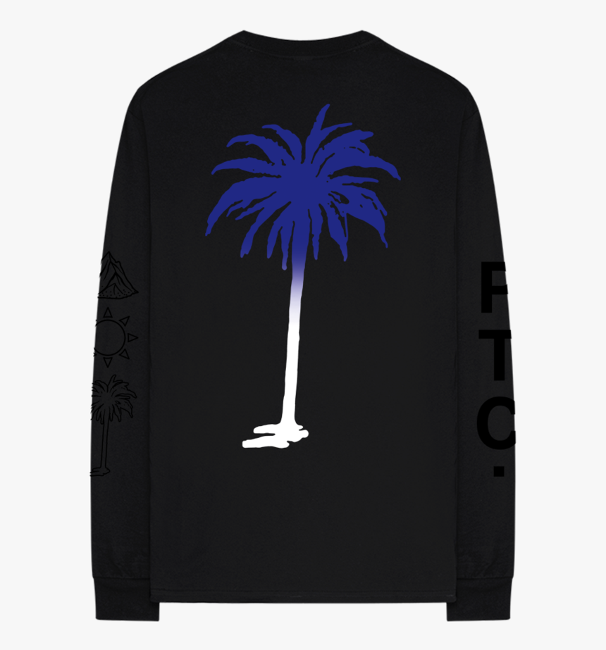 Desert Palm, HD Png Download