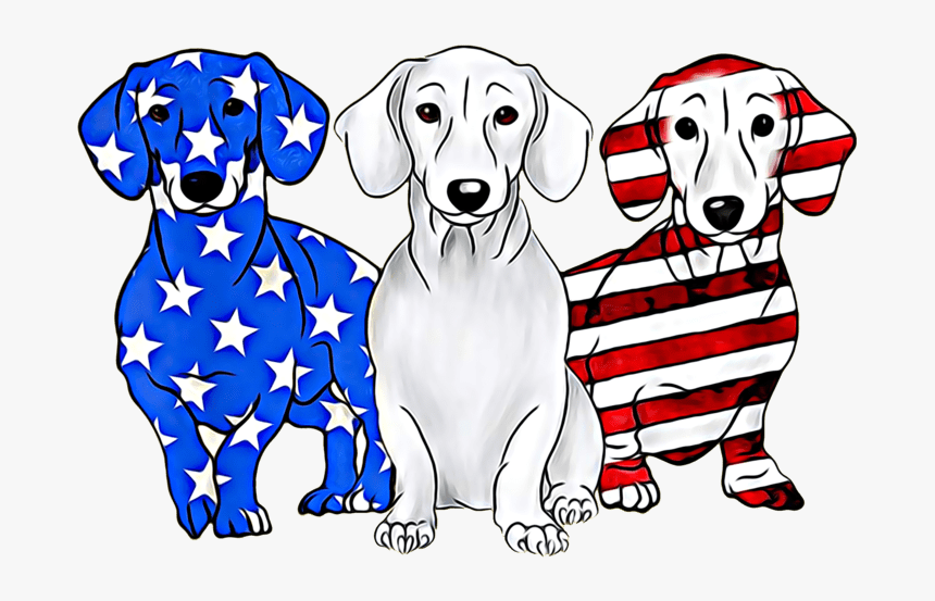 Dachshund With American Flag, HD Png Download
