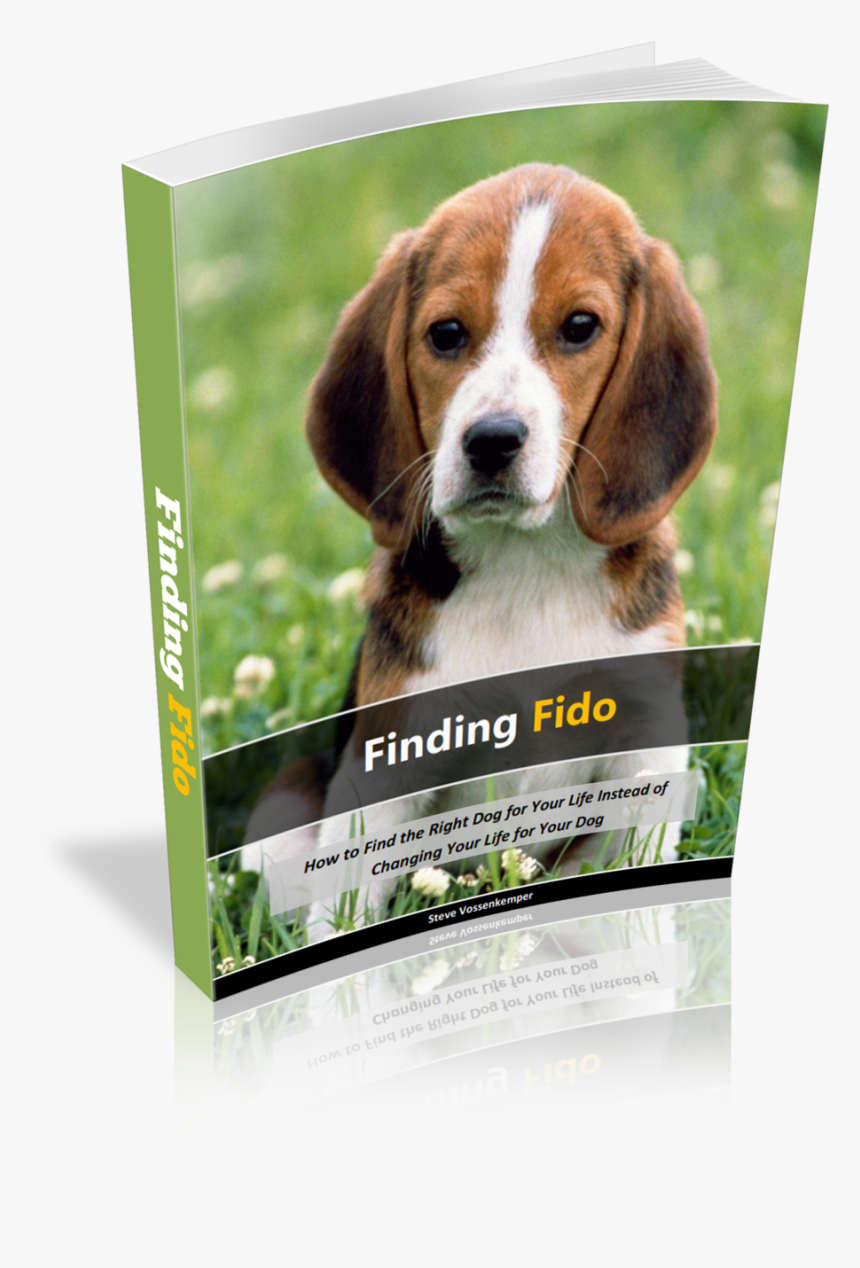 Finding Fido - Beagle Dog, HD Png Download