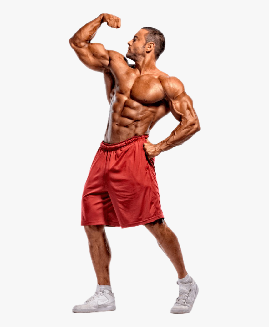 Bodybuilder Full Size Png, Transparent Png