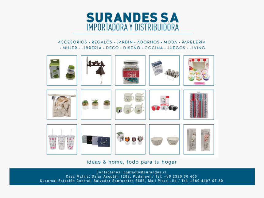 Nature - Pet An Animal, HD Png Download