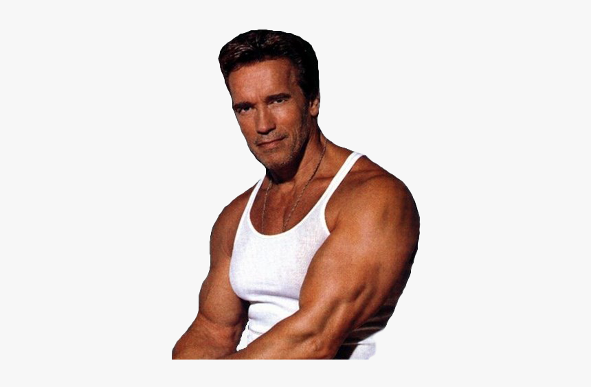 Arnold Schwarzenegger Bodybuilding Png Image - Arnold Schwarzenegger, Transparent Png