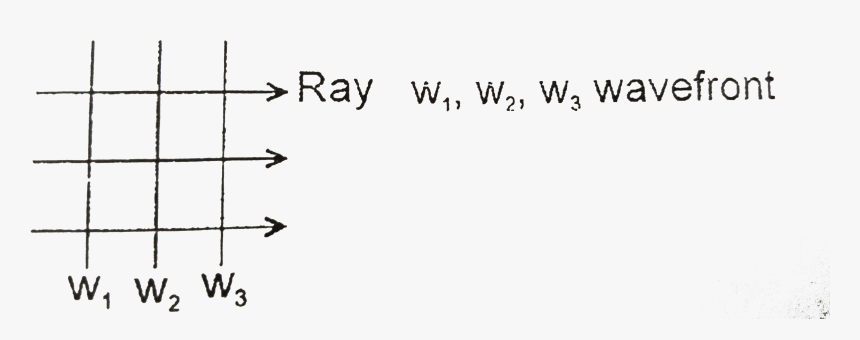 Number, HD Png Download